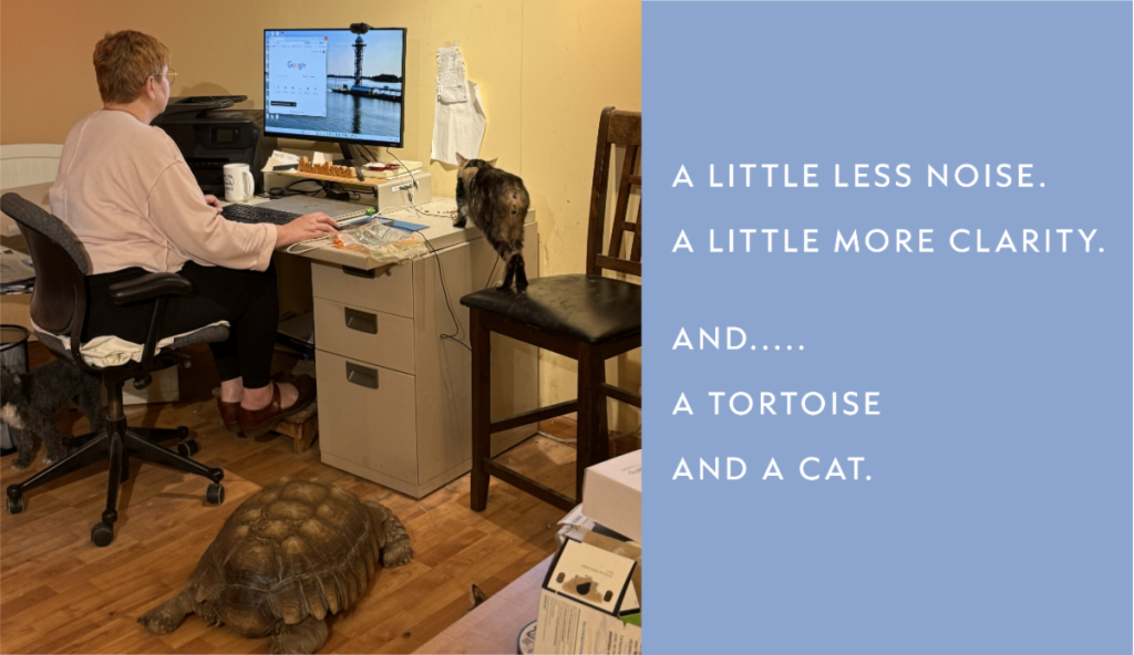 Aundrea, the President and CEO of MARQUEE Creatives, at her home desk with her pet tortoise and cat.