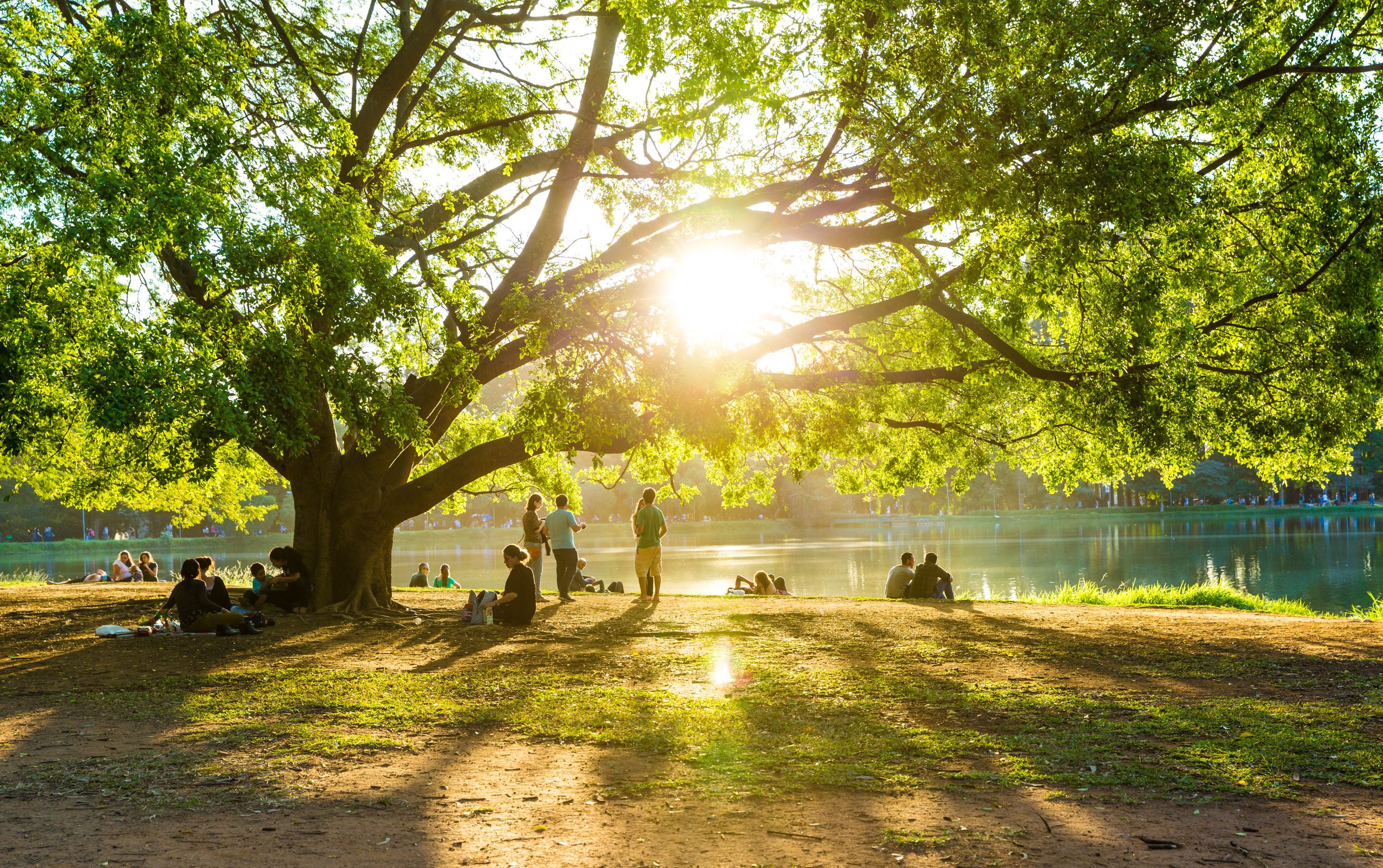 Beautiful day in Ibirapuera Park in Sao Paulo, Brazil